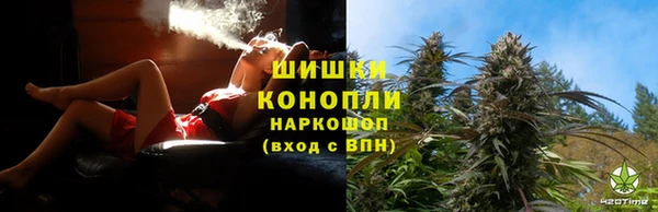 шишки Алексеевка