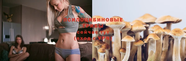 шишки Алексеевка