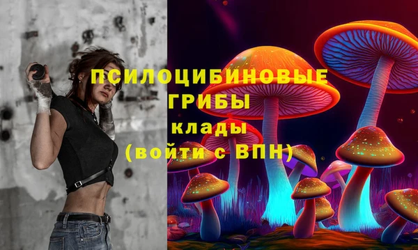 шишки Алексеевка