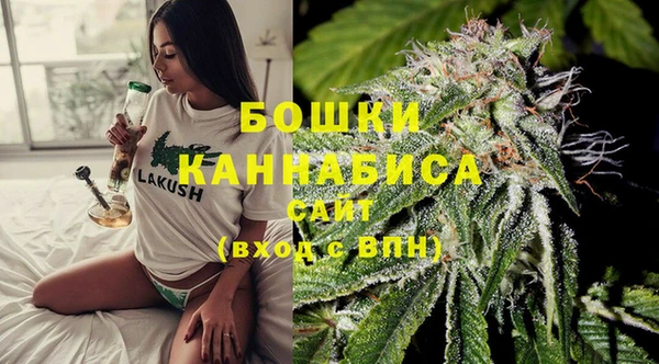 шишки Алексеевка