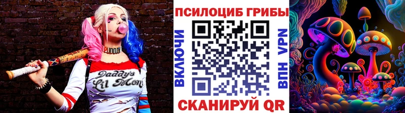 где найти   кракен как зайти  Галлюциногенные грибы Magic Shrooms  Динская 